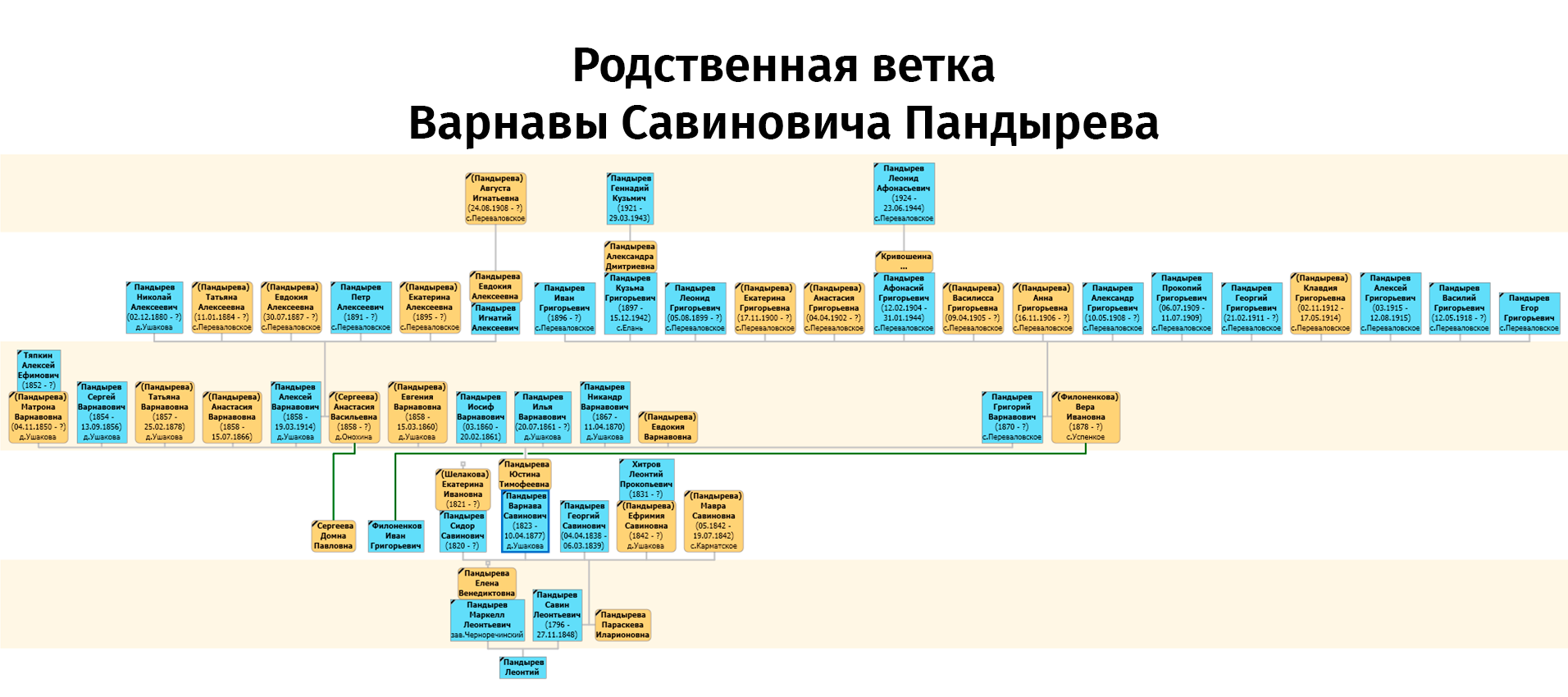 Родовое древо Пандыревых, родственная ветка Варнавы Савиновича